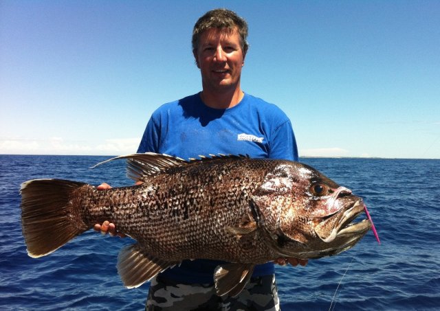 98 cm Dhu on PE2 jig 98 cm Dhu on PE2 jig